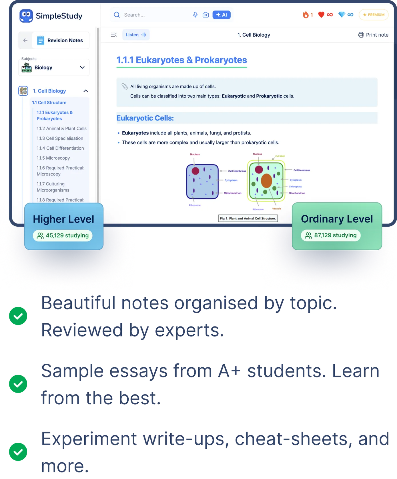 SimpleStudy demo