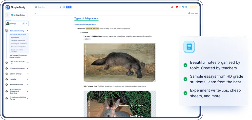SimpleStudy demo